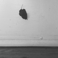 and, on the other side it’s my noon.