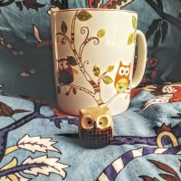 the depths of a wild heart with wishes- por si las moscas (video)