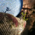 six word story #24 controlling friends