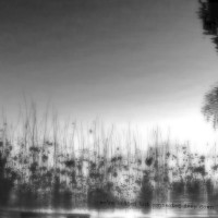 six word story #26 come to my house